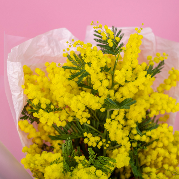 Купить Букет из 5 мимоз в  с бесплатной доставкой: цена, фото, описание